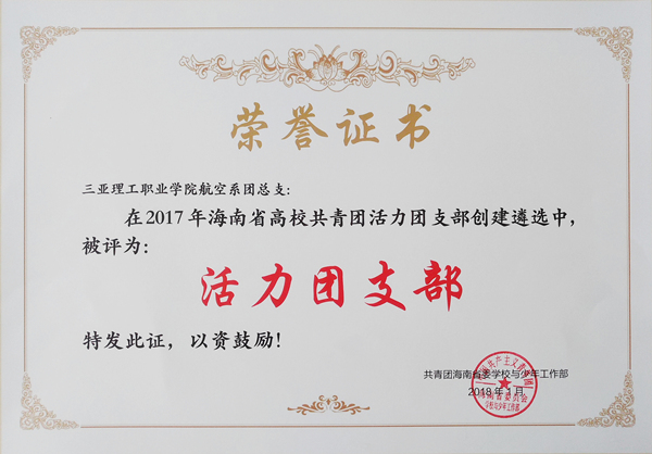 共青团海南省委员会正式公布了2017年秋季学期开展高校"活力团支部"