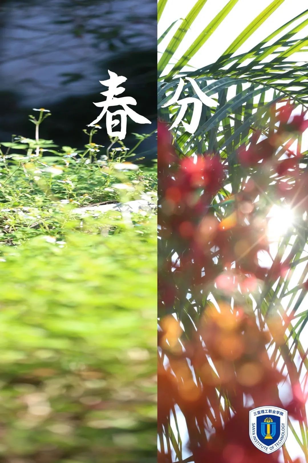 ͼƬ 9.jpg