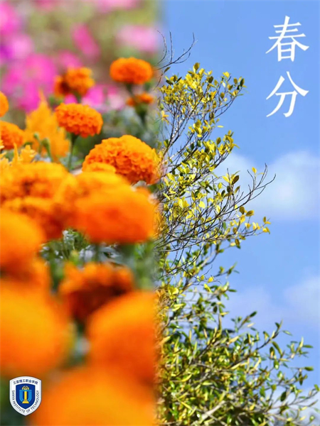 ͼƬ 5.jpg