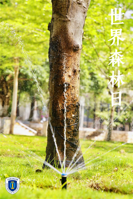 ͼƬ 6.jpg