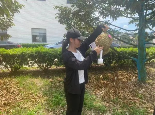 图片 5.jpg
